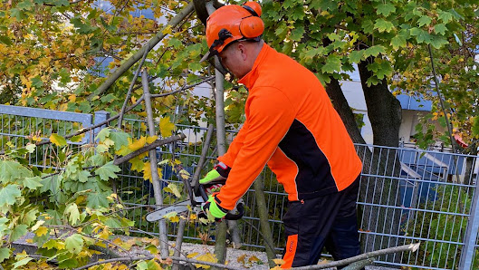 Hörter Services GmbH - Affalterbach