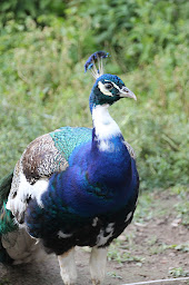 Photo n°19 de L'Atelier du Ru à Genainville (Chambre d'hôtes)