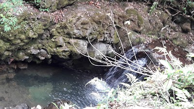 Photos of Las Quebradas Biological Center