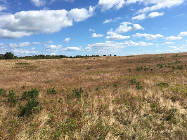 Nantucket School of Design and the Arts by null