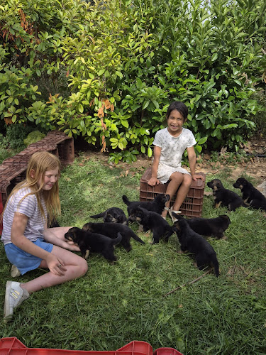 Thesi Koutoumatsa, Κόρινθος 201 00