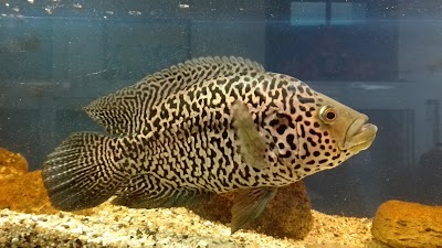 Photos of Varna Aquarium