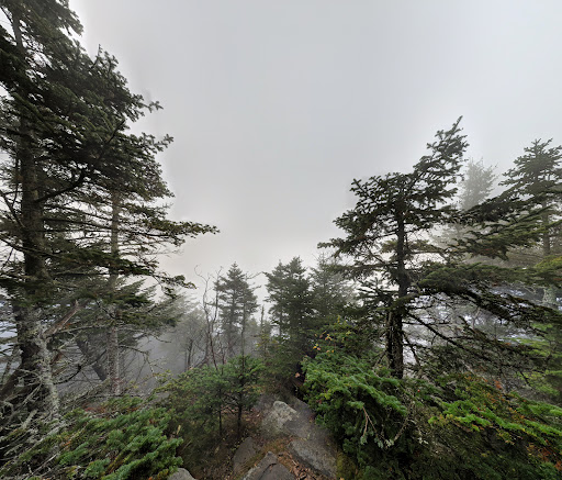 Slide Mountain Wilderness - Thumbnail