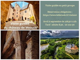 Photo n°1 de Château de Meauce à Saincaize-Meauce (Château)