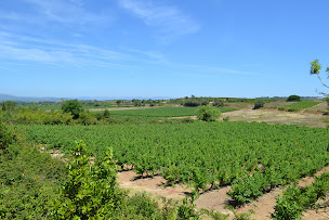 Photo n°10 de La Perle de Ceylan à Montagnac (Maison de vacances)
