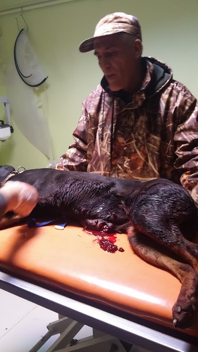 veterinary-care