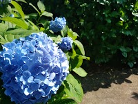 ダイビングショップカルテット