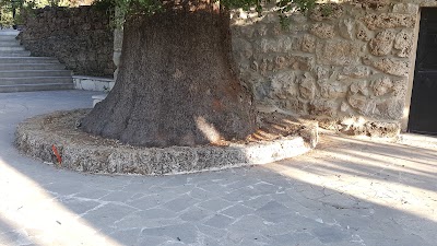Photos of Kniset lsayde
