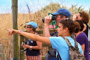 Photo n°98 de Camping Homair - La Côte Sauvage à Saint-Clément-des-Baleines (Piscine)