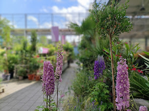 Photo n°34 de E.Leclerc Jardi à Mazères (Magasin d'ameublement d'extérieur)