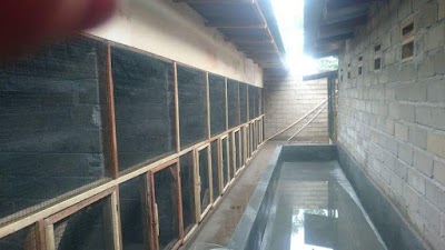 Photos of Chostilla BC (Penangkaran Burung Ring Chostilla)