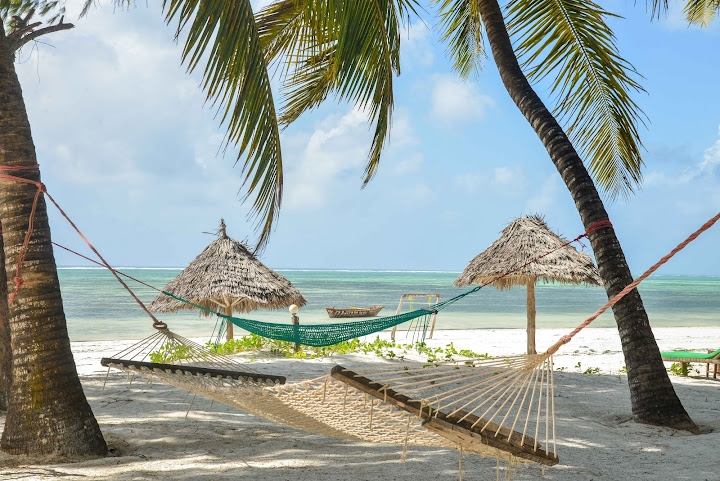 Evergreen Bungalows by null