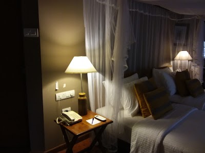 Photos of Cinnamon Wild Yala