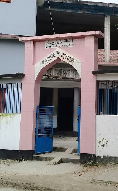 Photos of পলশা মধ্য পাড়া জামে মসজিদ