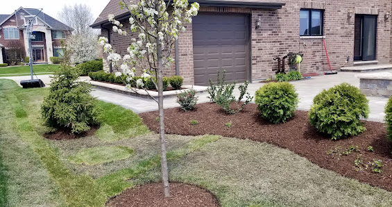 J&F Landscape — clinic in Aurora