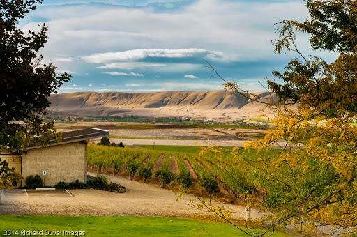 Hightower Cellars - Visual