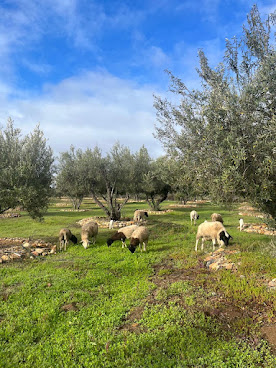 La Villa del Valle by null