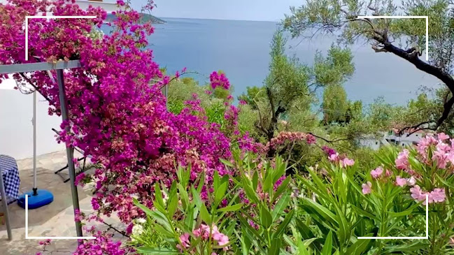 Comentarii opinii despre Villa Athena Skiathos