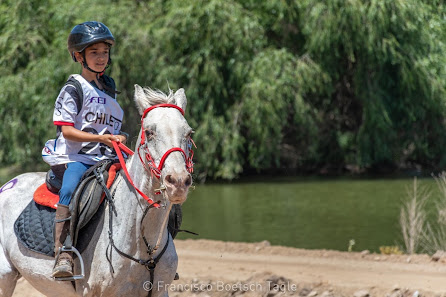 Foto de Escuela Equitación Sandek Stables Todas
