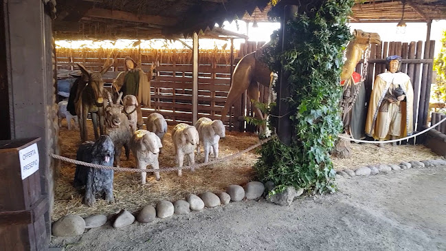 Opinii despre Presepe dei Sabbioni în Crema - Museo