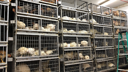 Foto de Bronx River Live Poultry