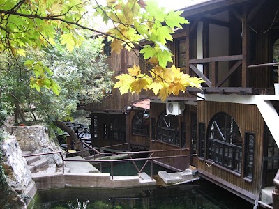 Photos of Kulta