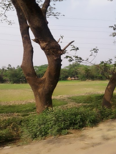 Photos of Bogdadia Bus Stop