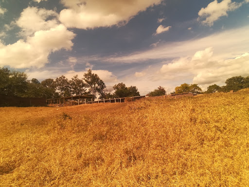 Acueducto el cerrito - Thumbnail