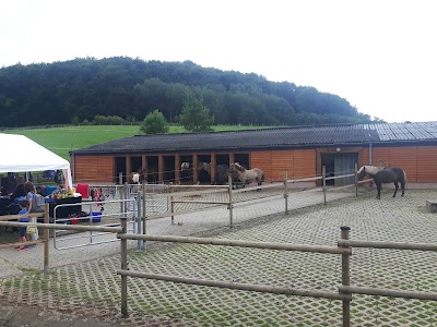 Photos of Islandpferdegest&uuml;t Neum&uuml;hle