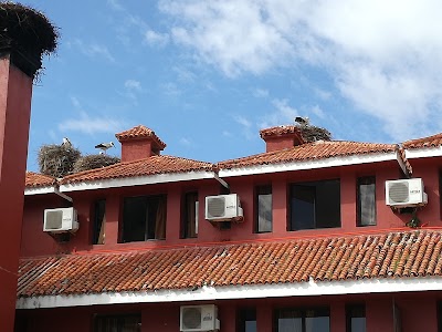 Photos of H&ocirc;tel DAR MAROC