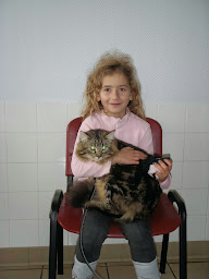 Photo n°9 de Clinique Veterinaire Des Deux Caps à Marquise (Vétérinaire)