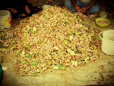 Photos of Naim Abad village