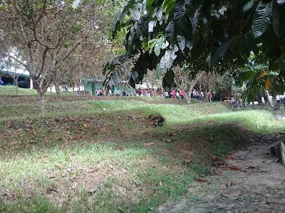 Photos of Gazebo Daun