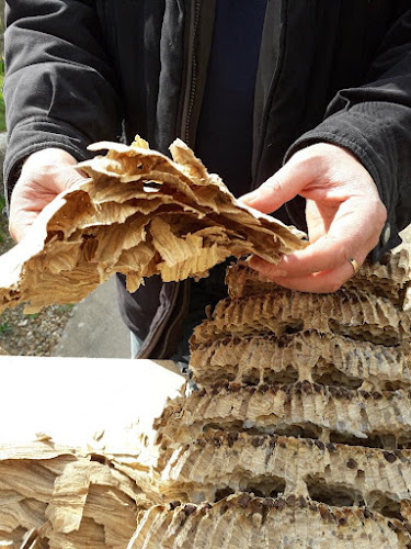 Guêpes Frelons Dératisation Montargis - Autre