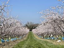 Du Pré au Verger à Cliousclat