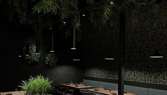 Shinka Sushi Bar