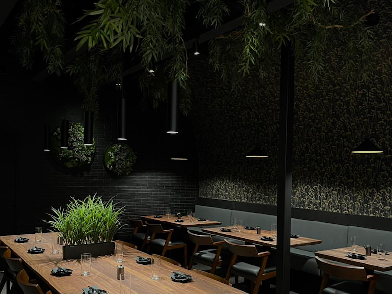 Shinka Sushi Bar — photo