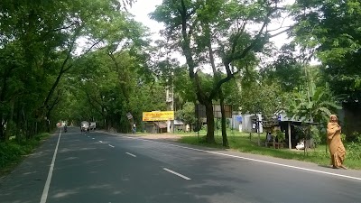 local-government-office