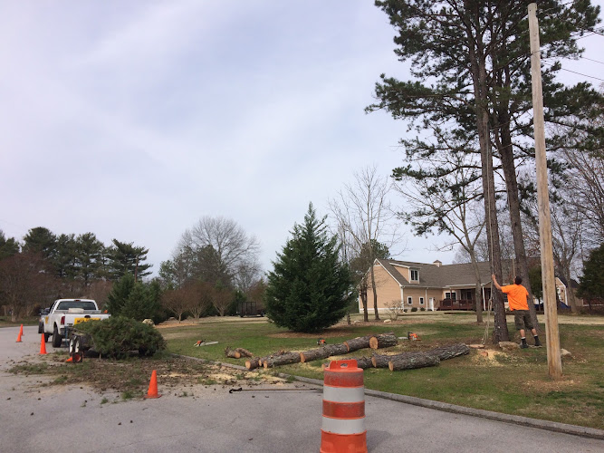 Dr. Rick's Tree Service & Lumber Mill Of Chattanooga