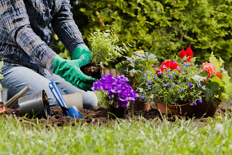 Reshani GmbH | Gartengestaltung Frankfurt am Main