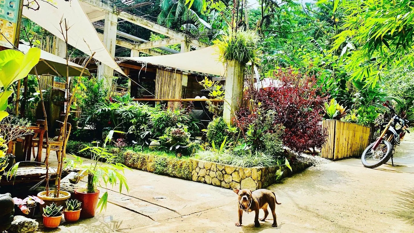 HIDDEN OF CAILAN INN