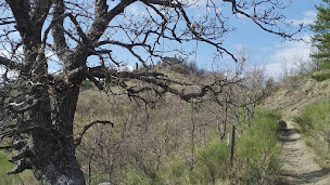 Photo n°9 de Re Connais Sens à Lazer (Centre de bien-être)