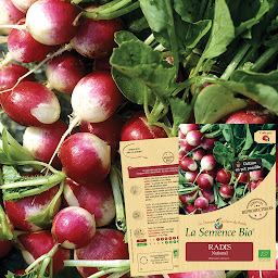 Photo n°6 de La Semence Bio à Rousset (Maraîcher)