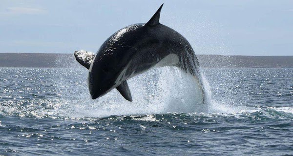 Viajar a https://lh3.googleusercontent.com/p/AF1QipO2ellAiuzur0mIK7auXbaBvjKhx_2W0YVBasDY=s1600-w600