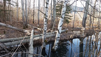 Photos of Pfrontner Moos Nature Reserve