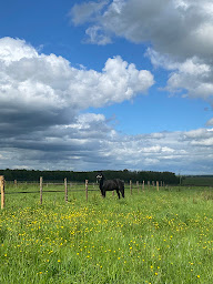 Photo n°11 de Louise Laval Dressage à Montreuil-sur-Barse (Centre équestre)