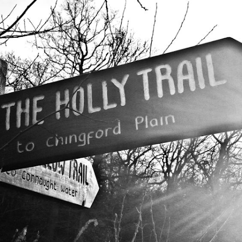 The Holly Trail Cafe by null