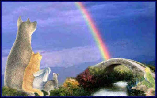 Heavenly Paws Pet Crematory - Thumbnail