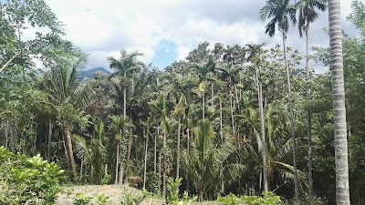 Photos of Meemure Forest Lodge