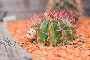 Photo n°33 de Maison Sadina à Séguret (Maison de vacances)